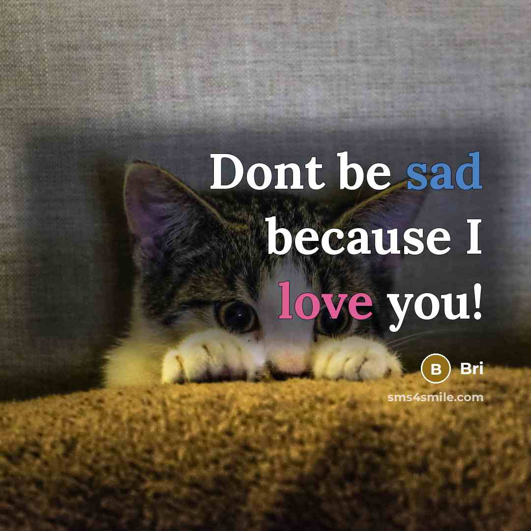 “Dont be sad because I love you!” quote by Bri