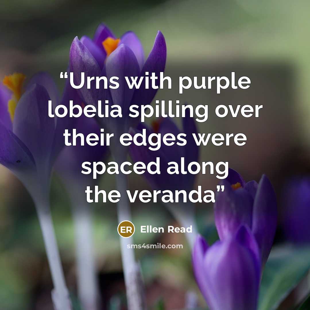 “Urns with purple lobelia spilling over their edges were spaced along the veranda” quote by Ellen Read