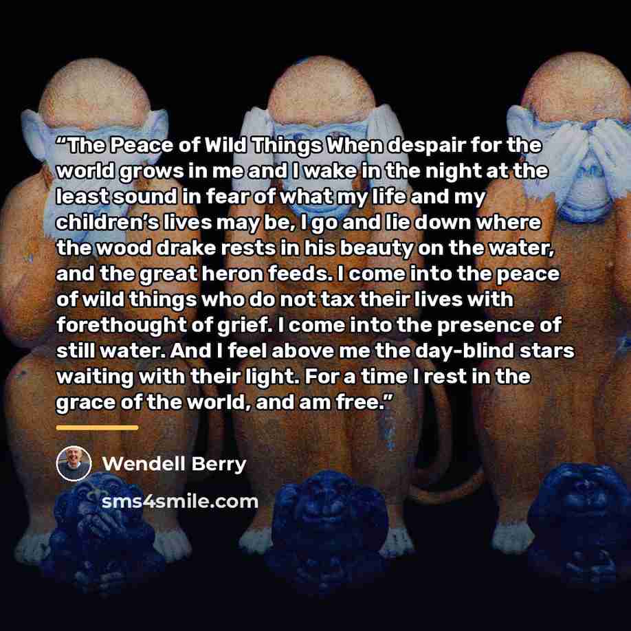 “The Peace of Wild Things When despair for the world grows in me and I wake in the night at the least sound in fear of what my life and my children’s lives may be, I go and lie down where the wood drake rests in his beauty on the water, and the great heron feeds. I come into the peace of wild…” quote by Wendell Berry