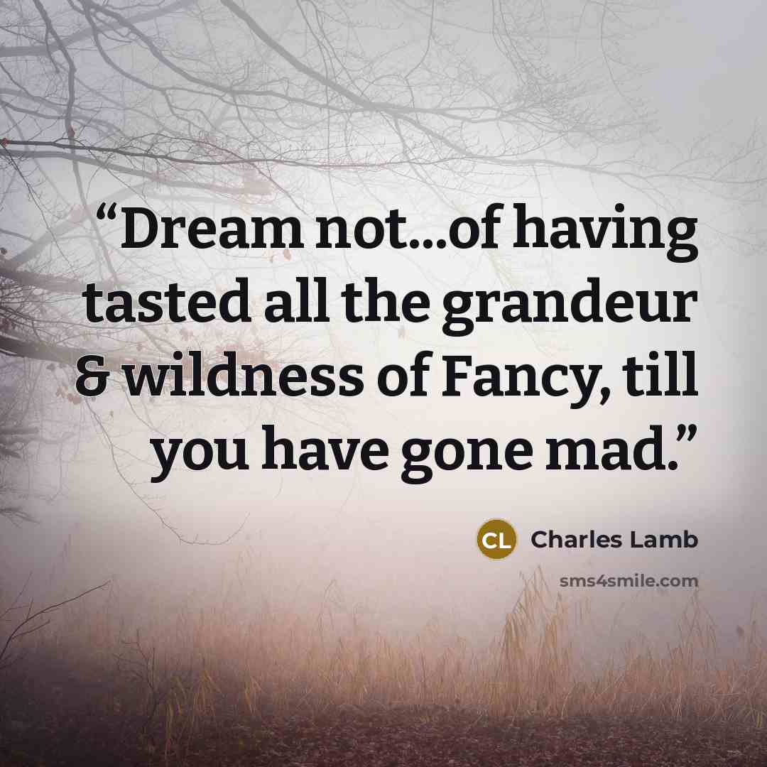 “Dream not...of having tasted all the grandeur & wildness of Fancy, till you have gone mad.” quote by Charles Lamb