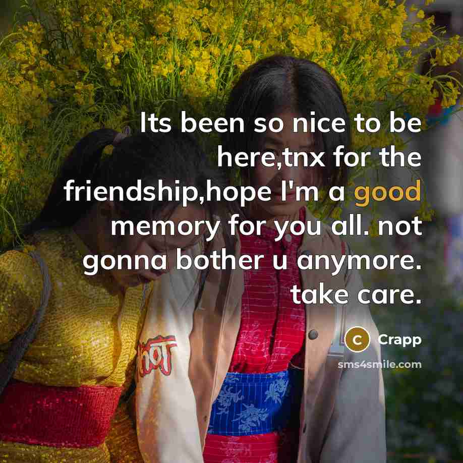 “Its been so nice to be here,tnx for the friendship,hope I'm a good memory for you all. not gonna bother u anymore. take care.” quote by Crapp