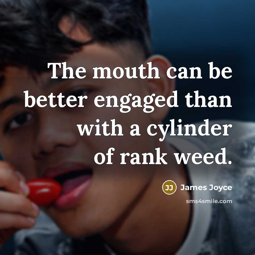 “The mouth can be better engaged than with a cylinder of rank weed.” quote by James Joyce