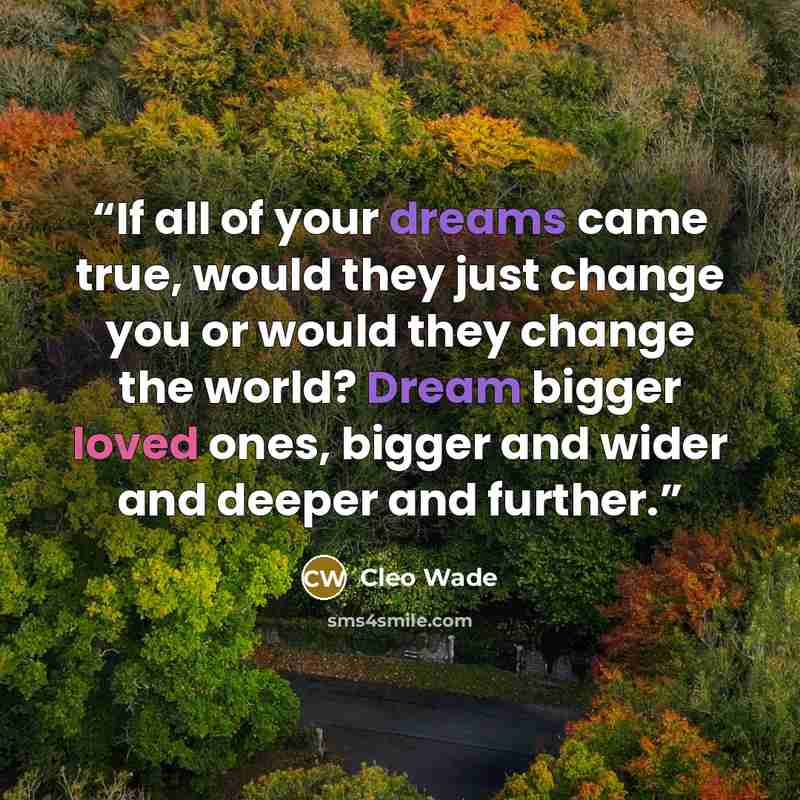“If all of your dreams came true, would they just change you or would they change the world? Dream bigger loved ones, bigger and wider and deeper and further.” quote by Cleo Wade