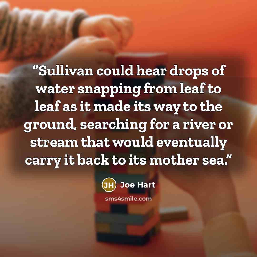 “Sullivan could hear drops of water snapping from leaf to leaf as it made its way to the ground, searching for a river or stream that would eventually carry it back to its mother sea.” quote by Joe Hart