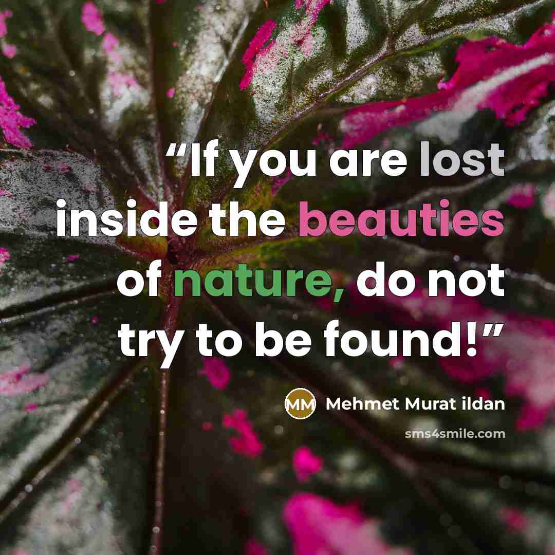 “If you are lost inside the beauties of nature, do not try to be found!” quote by Mehmet Murat ildan