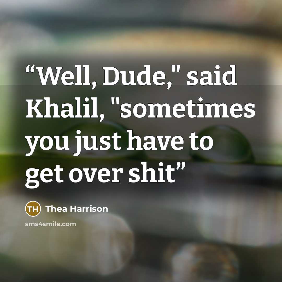 “Well, Dude," said Khalil, "sometimes you just have to get over shit” quote by Thea Harrison