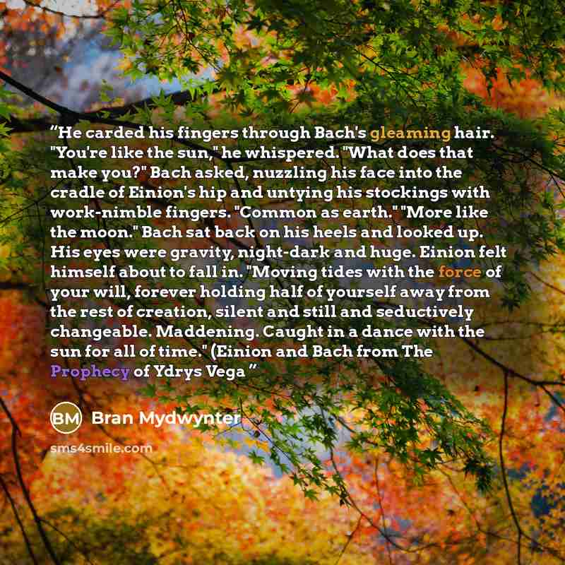 “He carded his fingers through Bach's gleaming hair. "You're like the sun," he whispered. "What does that make you?" Bach asked, nuzzling his face into the cradle of Einion's hip and untying his stockings with work-nimble fingers. "Common as earth." "More like the moon." Bach sat back on his heels…” quote by Bran Mydwynter