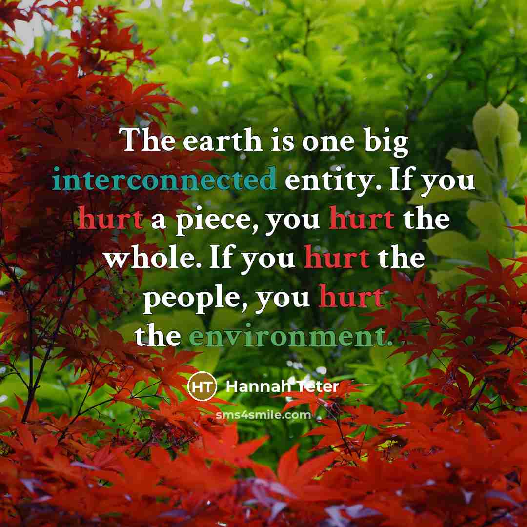 “The earth is one big interconnected entity. If you hurt a piece, you hurt the whole. If you hurt the people, you hurt the environment.” quote by Hannah Teter