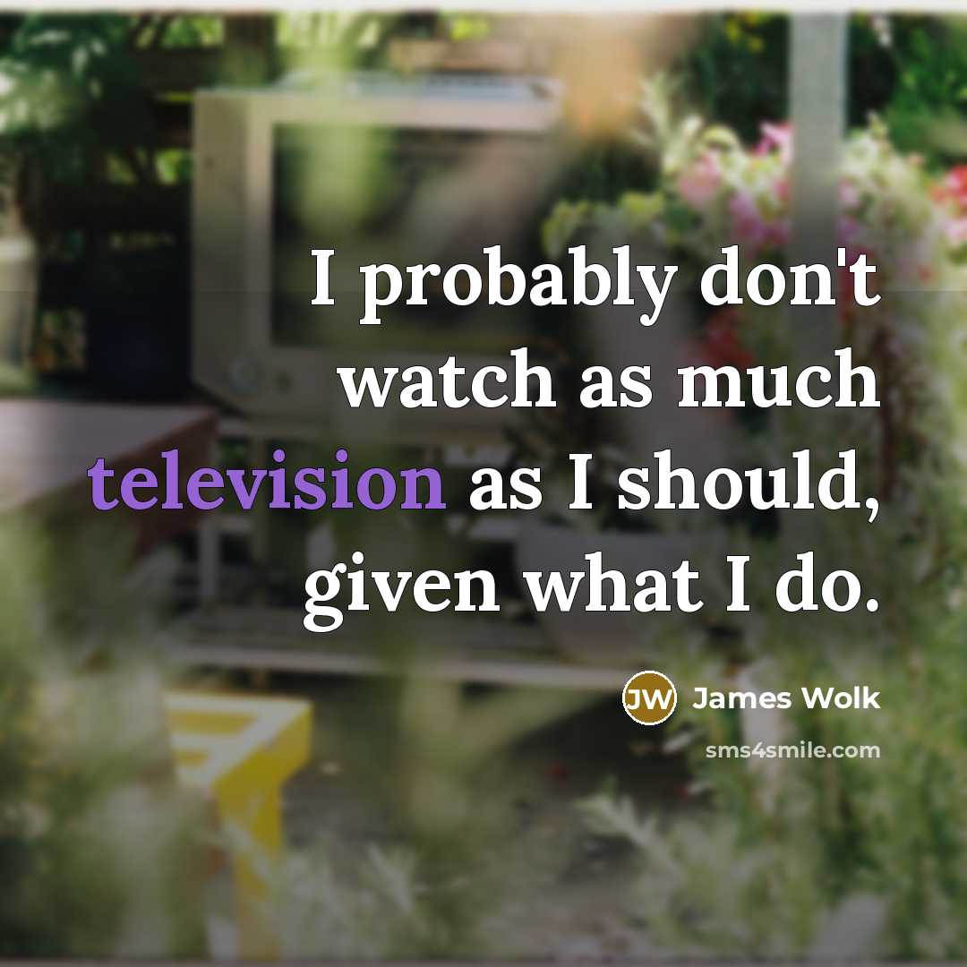 “I probably don't watch as much television as I should, given what I do.” quote by James Wolk