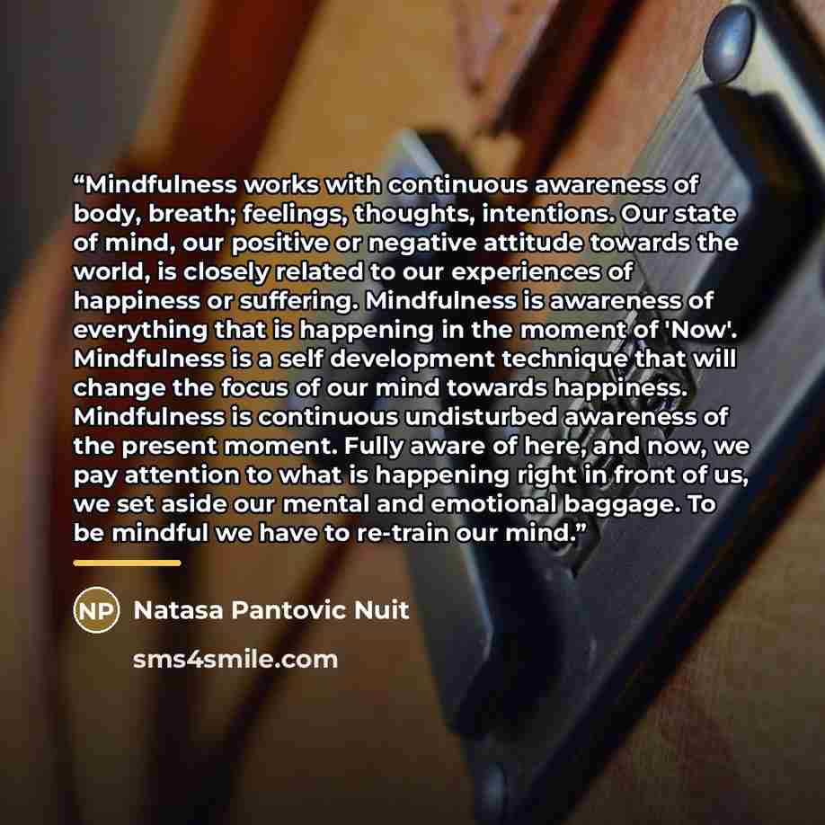 “Mindfulness works with continuous awareness of body, breath; feelings, thoughts, intentions. Our state of mind, our positive or negative attitude towards the world, is closely related to our experiences of happiness or suffering. Mindfulness is awareness of everything that is happening in the…” quote by Natasa Pantovic Nuit