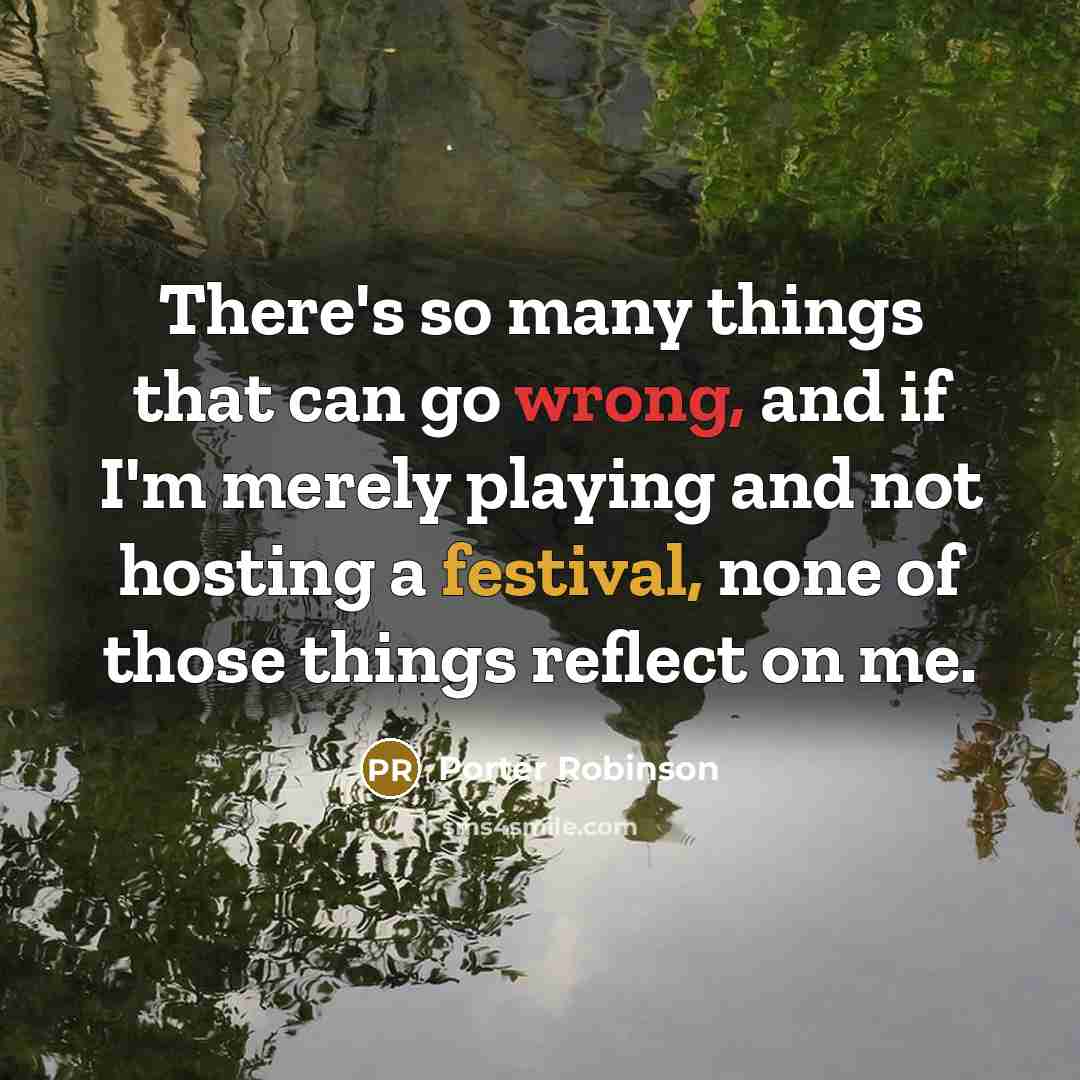“There's so many things that can go wrong, and if I'm merely playing and not hosting a festival, none of those things reflect on me.” quote by Porter Robinson