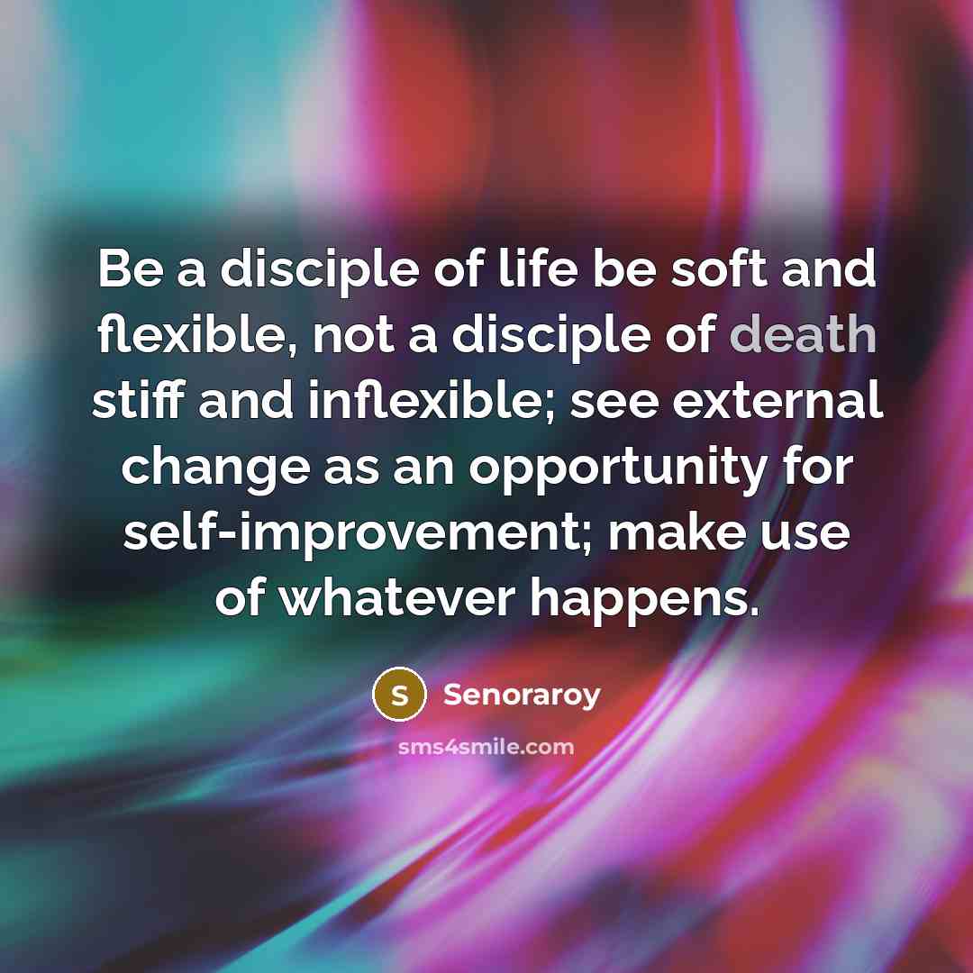 “Be a disciple of life be soft and flexible, not a disciple of death stiff and inflexible; see external change as an opportunity for self-improvement; make use of whatever happens.” quote by Senoraroy