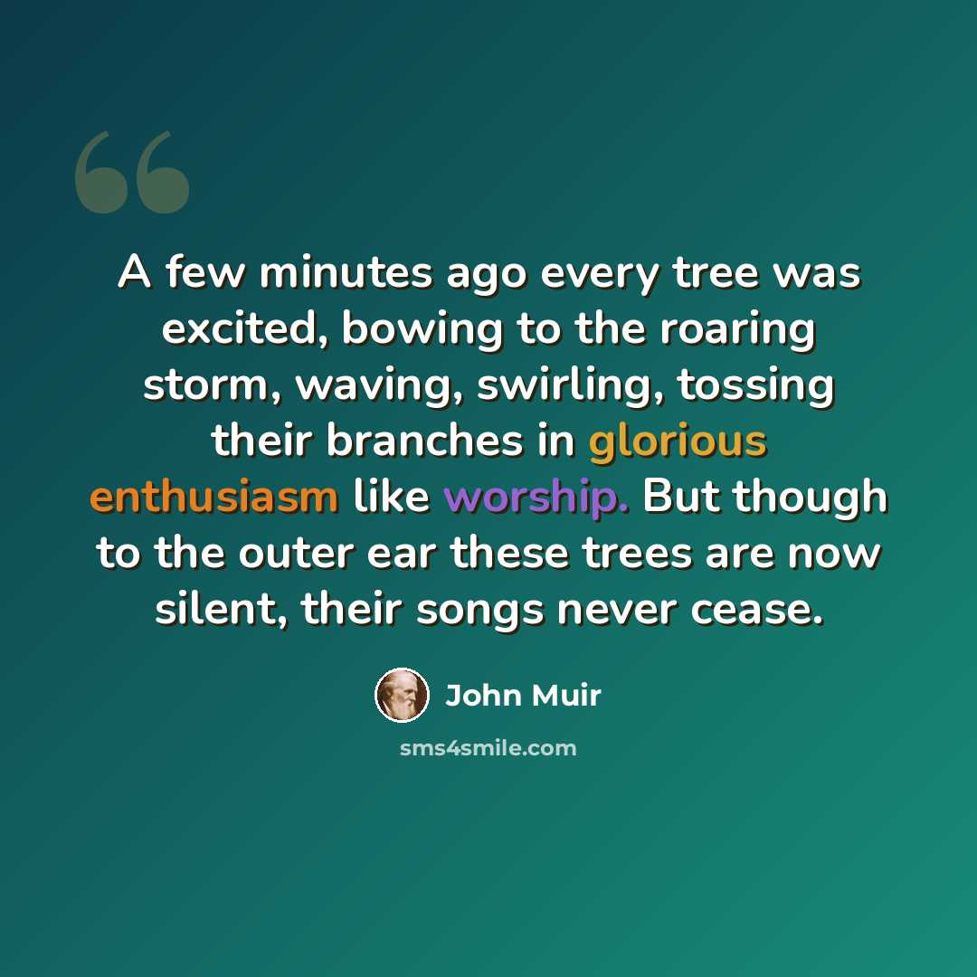 “A few minutes ago every tree was excited, bowing to the roaring storm, waving, swirling, tossing their branches in glorious enthusiasm like worship. But though to the outer ear these trees are now silent, their songs never cease.” quote by John Muir