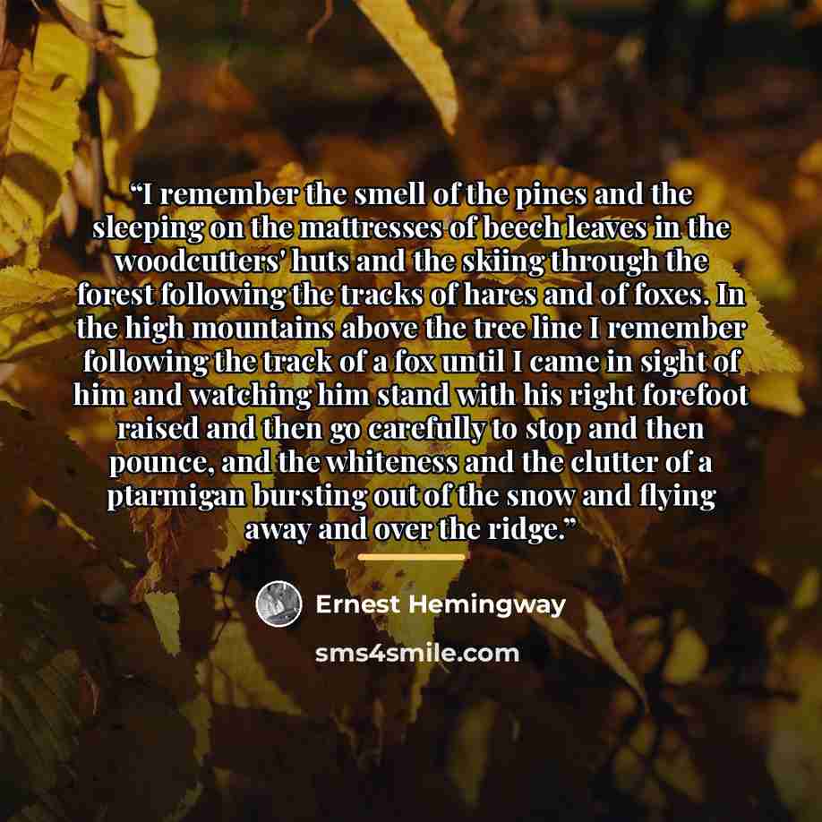 “I remember the smell of the pines and the sleeping on the mattresses of beech leaves in the woodcutters' huts and the skiing through the forest following the tracks of hares and of foxes. In the high mountains above the tree line I remember following the track of a fox until I came in sight of him…” quote by Ernest Hemingway