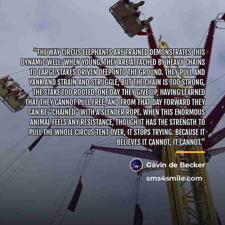 “The way circus elephants are trained demonstrates this dynamic well: When young, they are attached by heavy chains to large stakes driven deep into the ground. They pull and yank and strain and struggle, but the chain is too strong, the stake too rooted. One day they give up, having learned that…” quote by Gavin de Becker