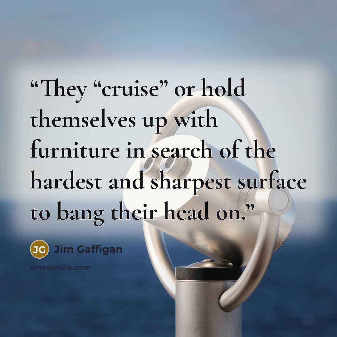 “They “cruise” or hold themselves up with furniture in search of the hardest and sharpest surface to bang their head on.” quote by Jim Gaffigan