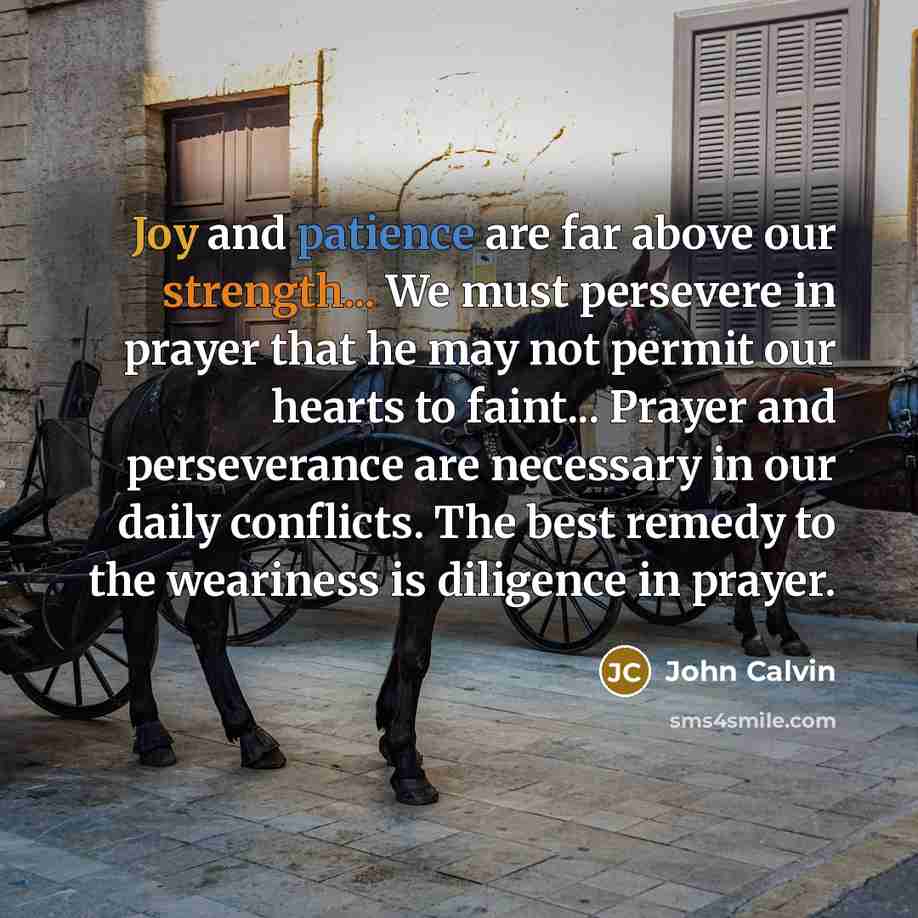 “Joy and patience are far above our strength... We must persevere in prayer that he may not permit our hearts to faint... Prayer and perseverance are necessary in our daily conflicts. The best remedy to the weariness is diligence in prayer.” quote by John Calvin