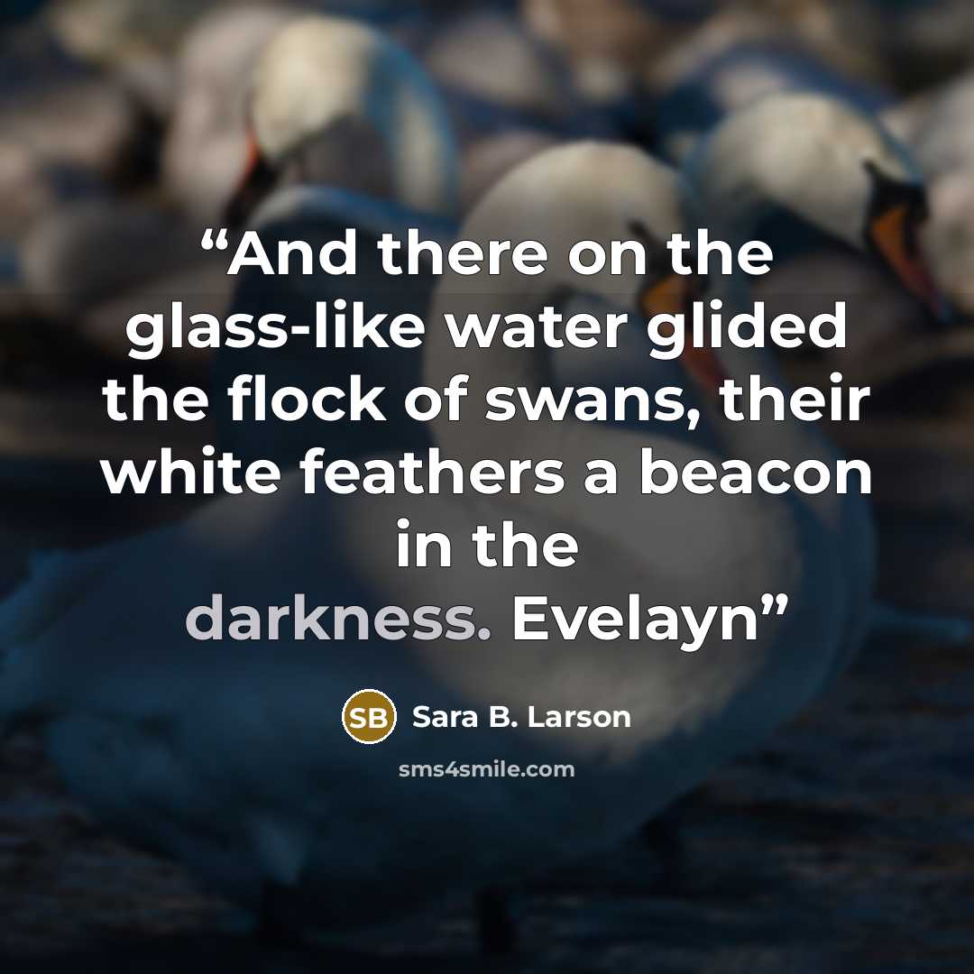 “And there on the glass-like water glided the flock of swans, their white feathers a beacon in the darkness. Evelayn” quote by Sara B. Larson