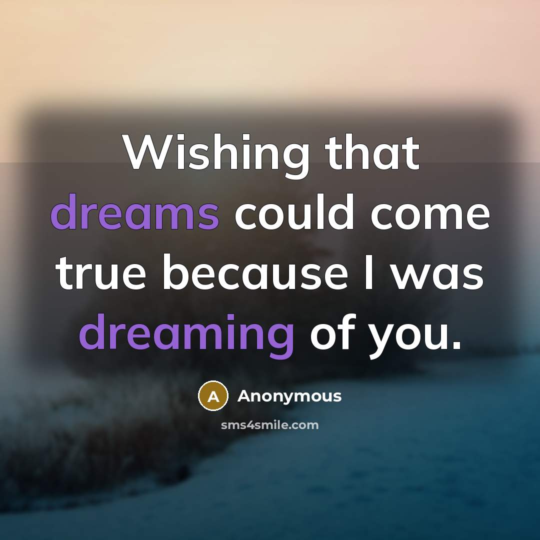 “Wishing that dreams could come true because I was dreaming of you.” quote by Anonymous