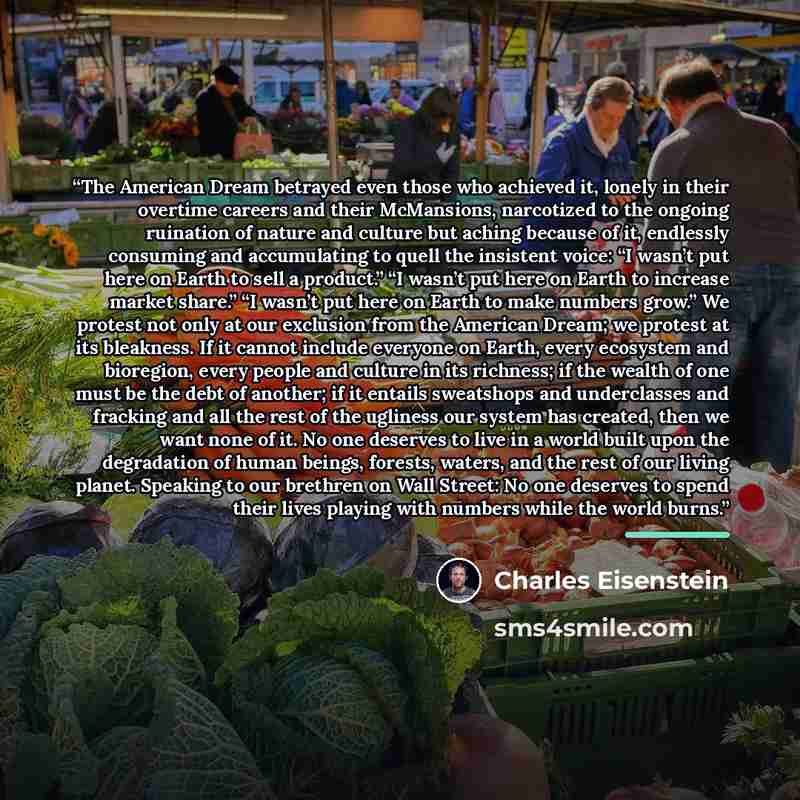 “The American Dream betrayed even those who achieved it, lonely in their overtime careers and their McMansions, narcotized to the ongoing ruination of nature and culture but aching because of it, endlessly consuming and accumulating to quell the insistent voice: “I wasn’t put here on Earth to sell…” quote by Charles Eisenstein
