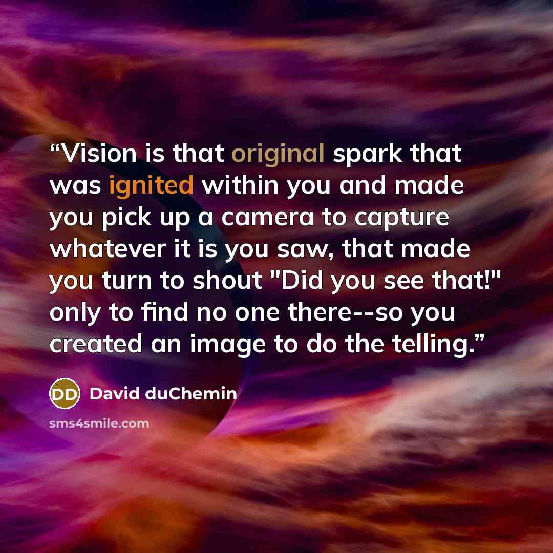 “Vision is that original spark that was ignited within you and made you pick up a camera to capture whatever it is you saw, that made you turn to shout "Did you see that!" only to find no one there--so you created an image to do the telling.” quote by David duChemin