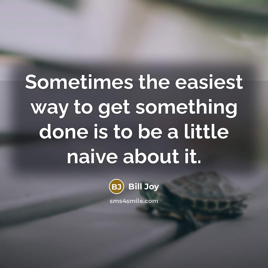 “Sometimes the easiest way to get something done is to be a little naive about it.” quote by Bill Joy