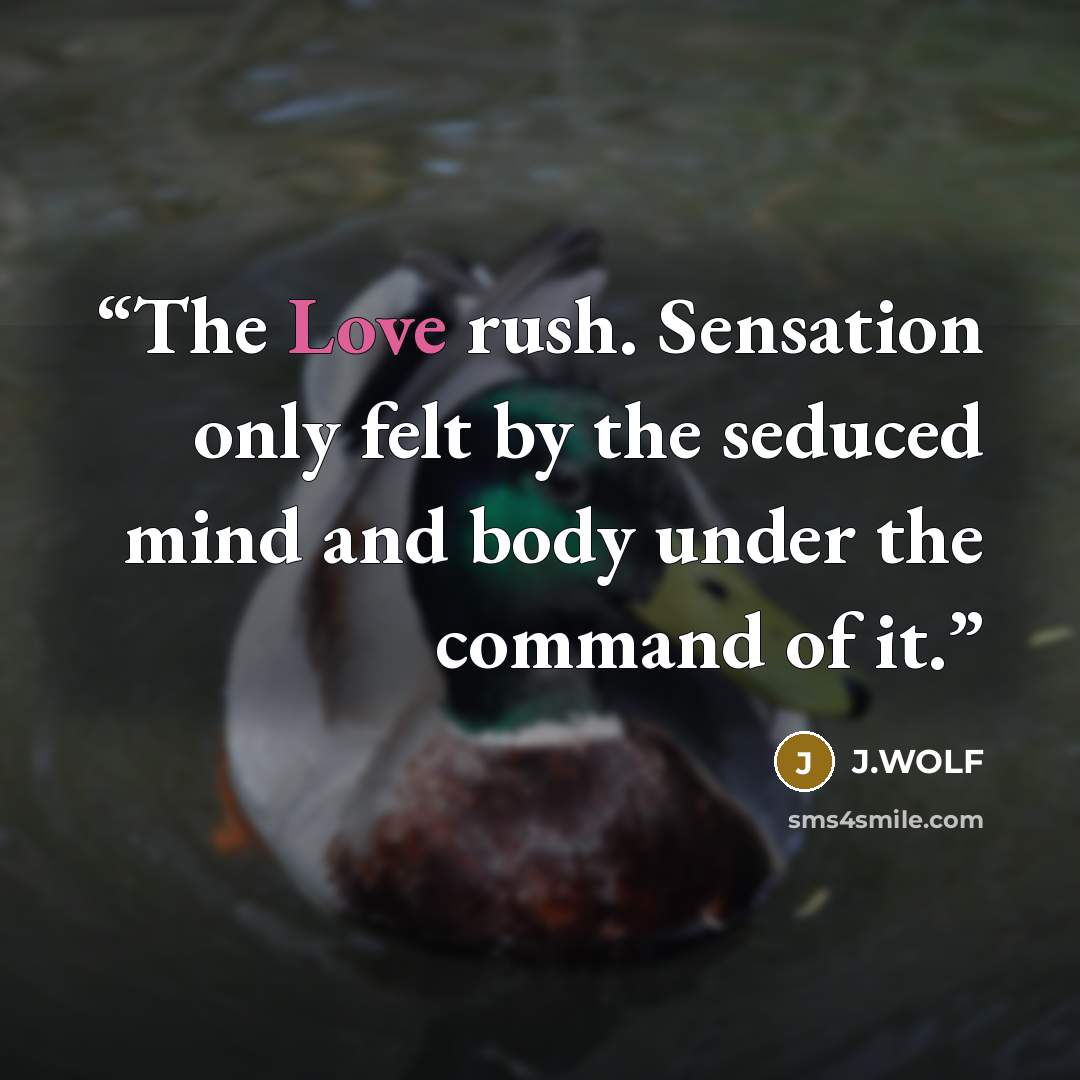 “The Love rush. Sensation only felt by the seduced mind and body under the command of it.” quote by J.Wolf