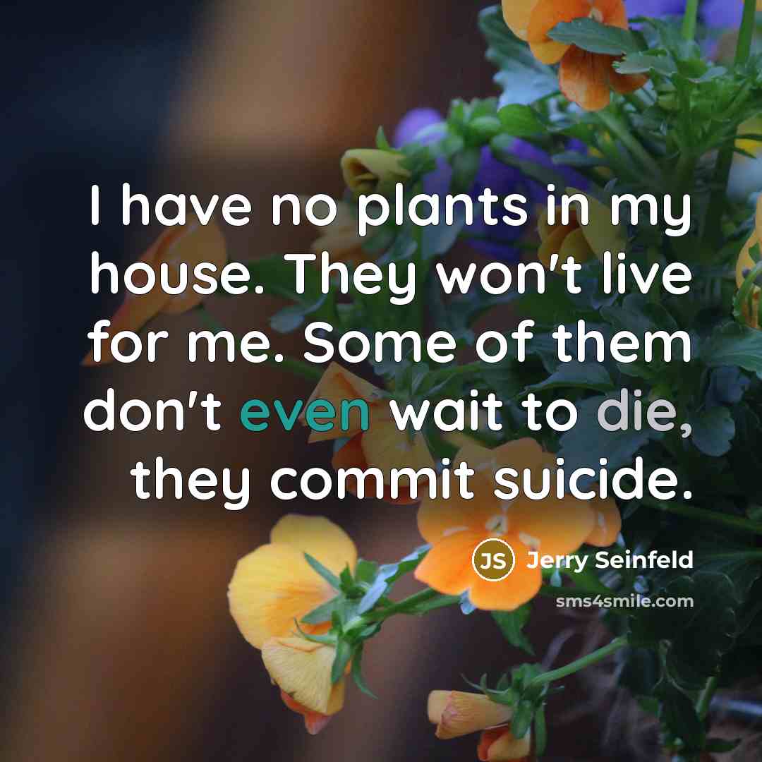 “I have no plants in my house. They won't live for me. Some of them don't even wait to die, they commit suicide.” quote by Jerry Seinfeld