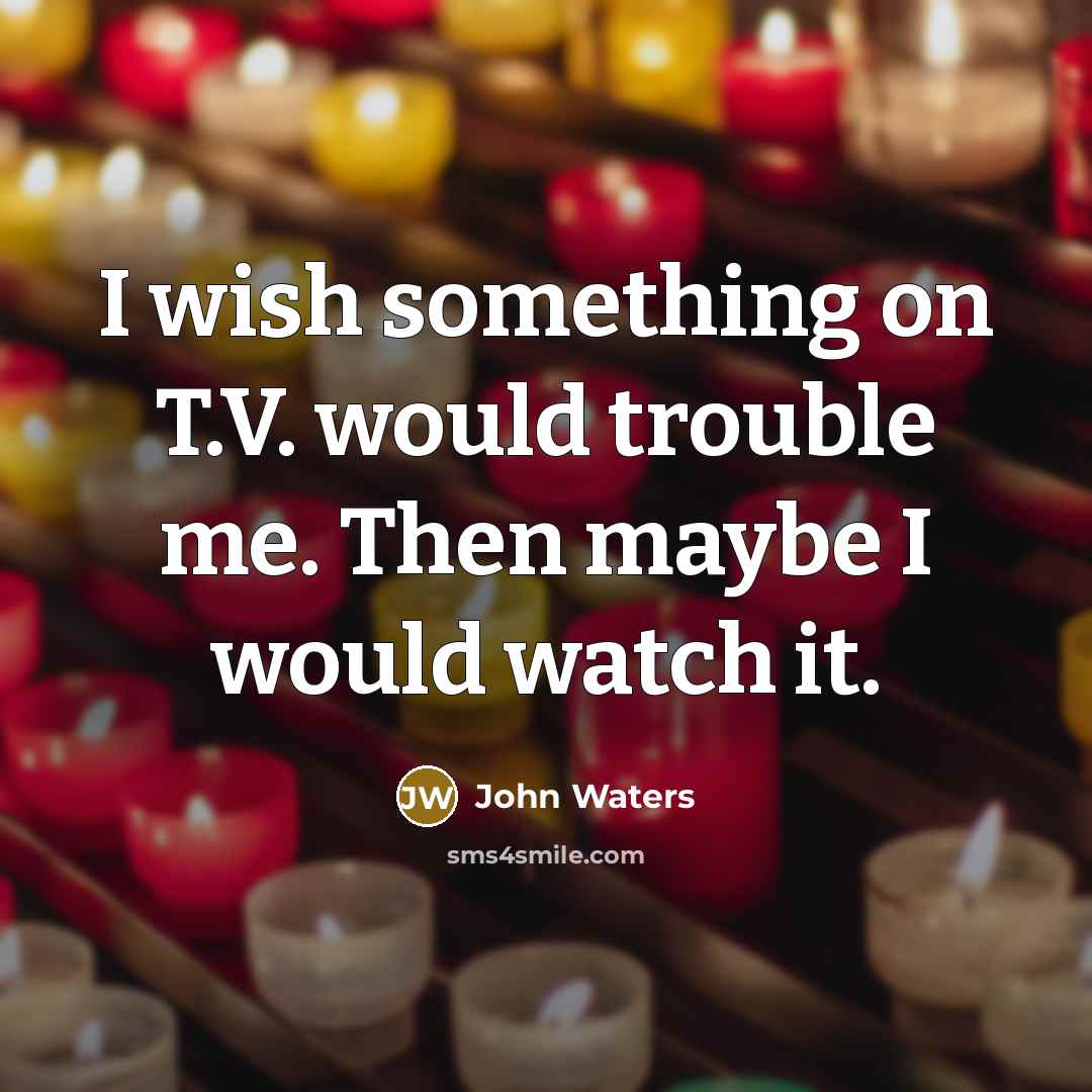 “I wish something on T.V. would trouble me. Then maybe I would watch it.” quote by John Waters
