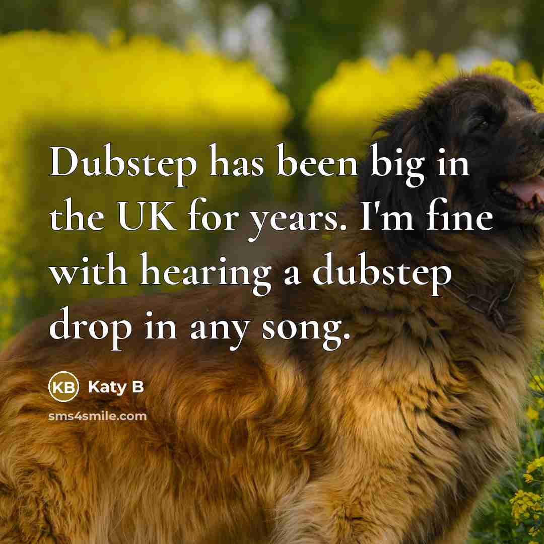 “Dubstep has been big in the UK for years. I'm fine with hearing a dubstep drop in any song.” quote by Katy B