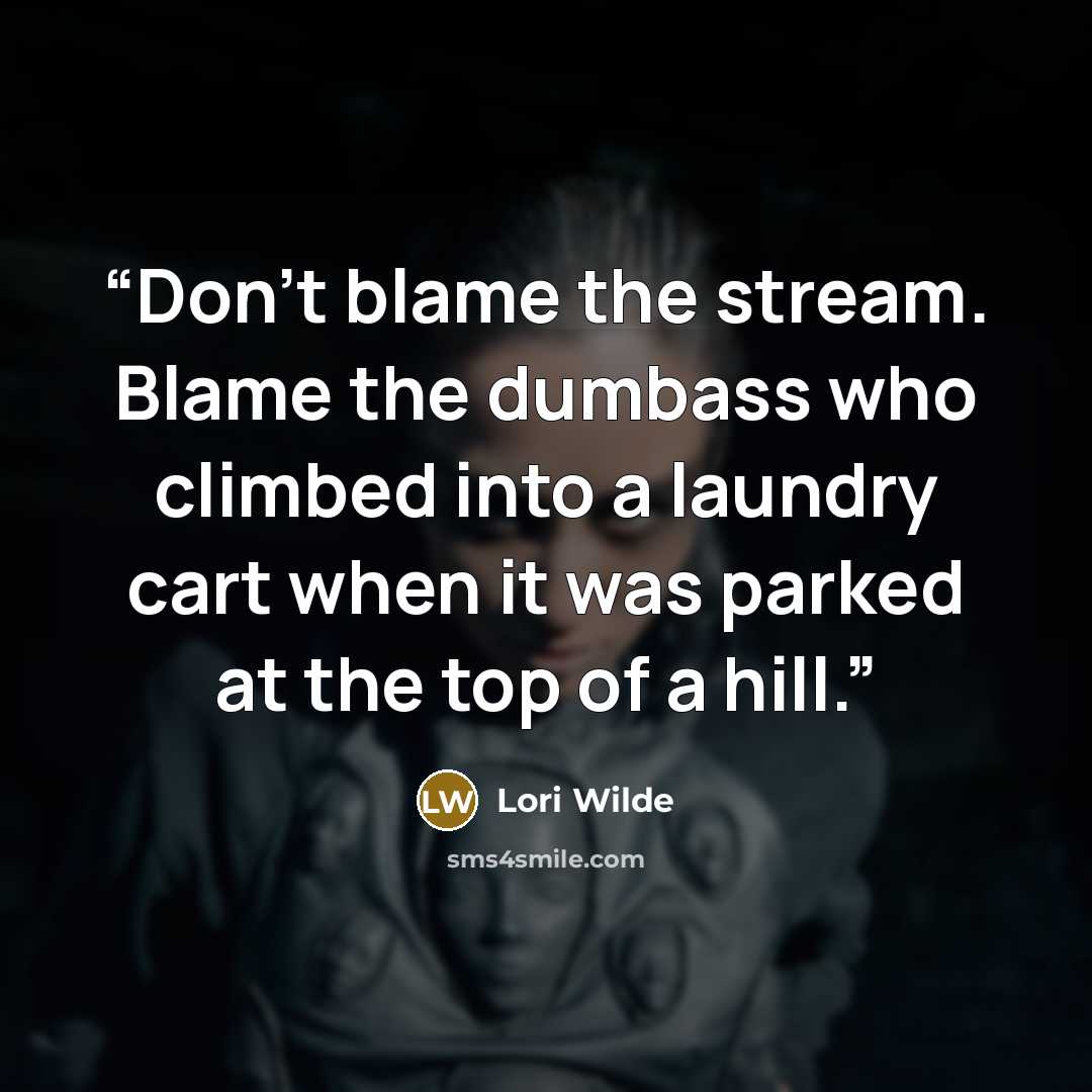 “Don’t blame the stream. Blame the dumbass who climbed into a laundry cart when it was parked at the top of a hill.” quote by Lori Wilde