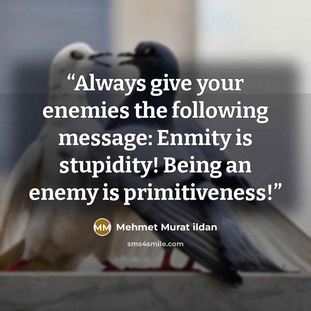 “Always give your enemies the following message: Enmity is stupidity! Being an enemy is primitiveness!” quote by Mehmet Murat ildan