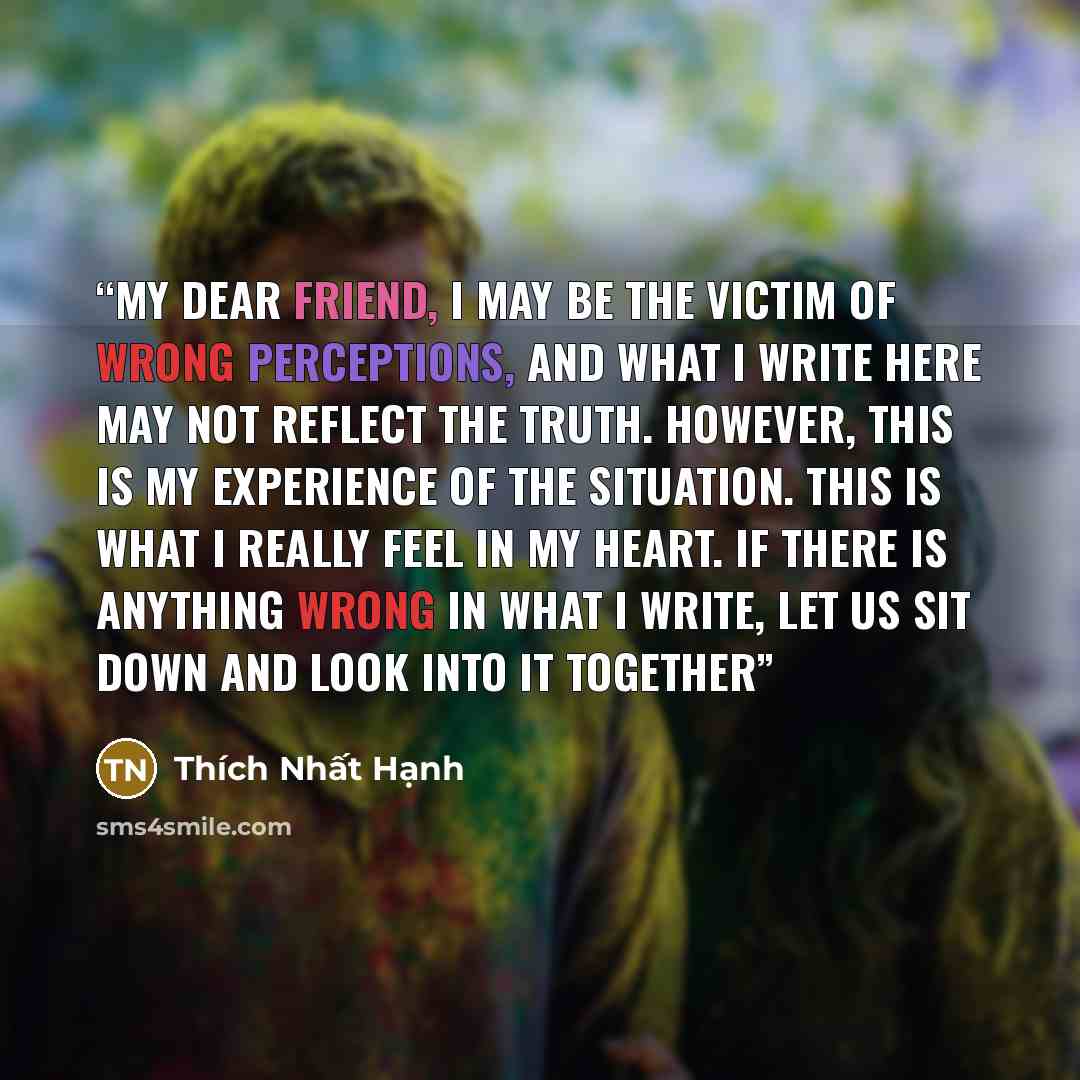 “My dear friend, I may be the victim of wrong perceptions, and what I write here may not reflect the truth. However, this is my experience of the situation. This is what I really feel in my heart. If there is anything wrong in what I write, let us sit down and look into it together” quote by Thich Nhat Hanh