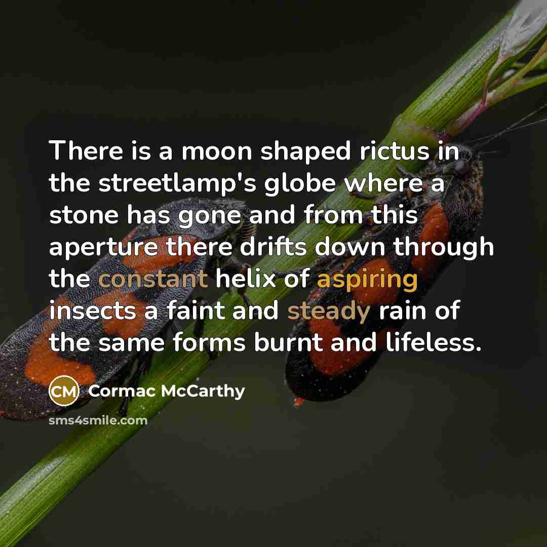 “There is a moon shaped rictus in the streetlamp's globe where a stone has gone and from this aperture there drifts down through the constant helix of aspiring insects a faint and steady rain of the same forms burnt and lifeless.” quote by Cormac McCarthy