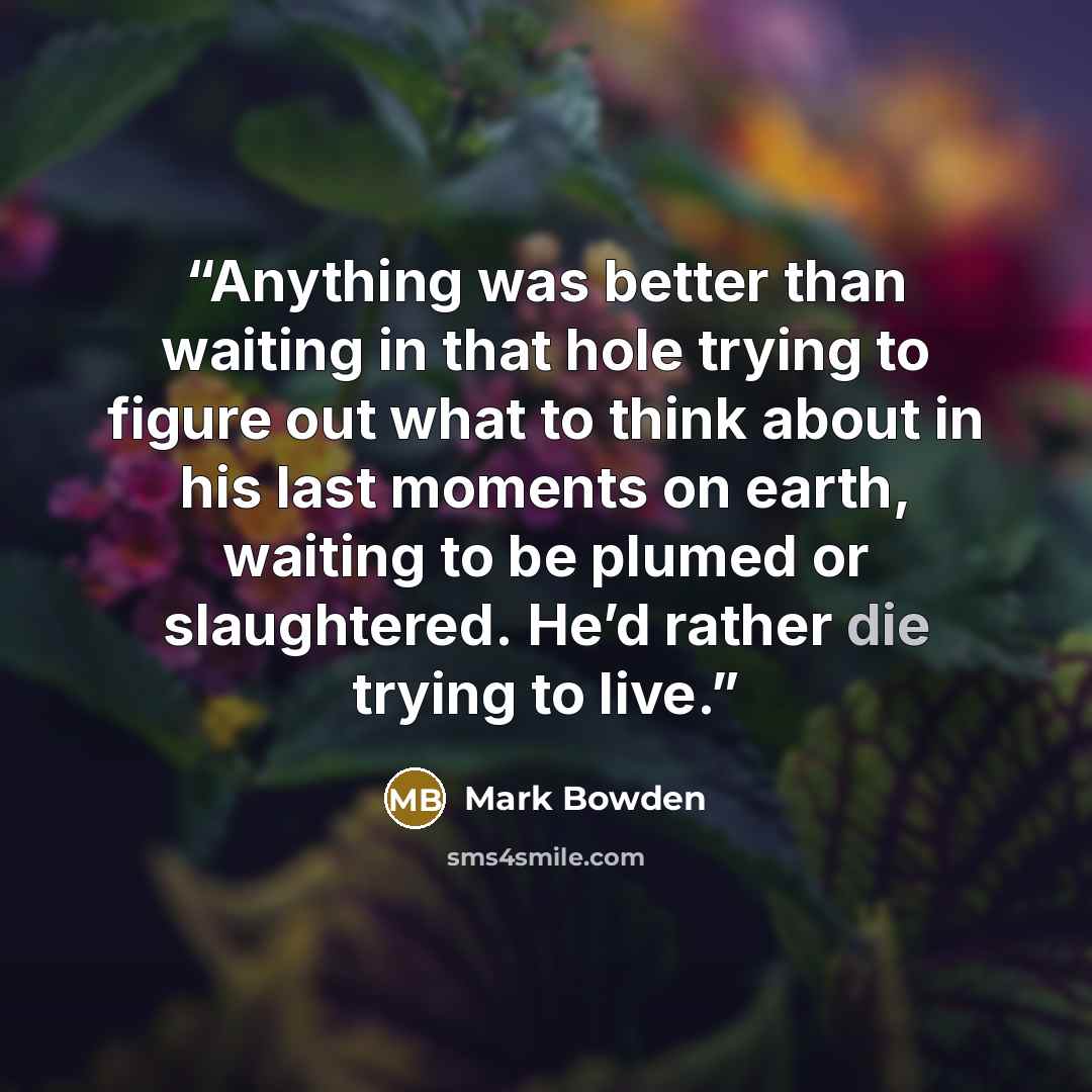 “Anything was better than waiting in that hole trying to figure out what to think about in his last moments on earth, waiting to be plumed or slaughtered. He’d rather die trying to live.” quote by Mark Bowden
