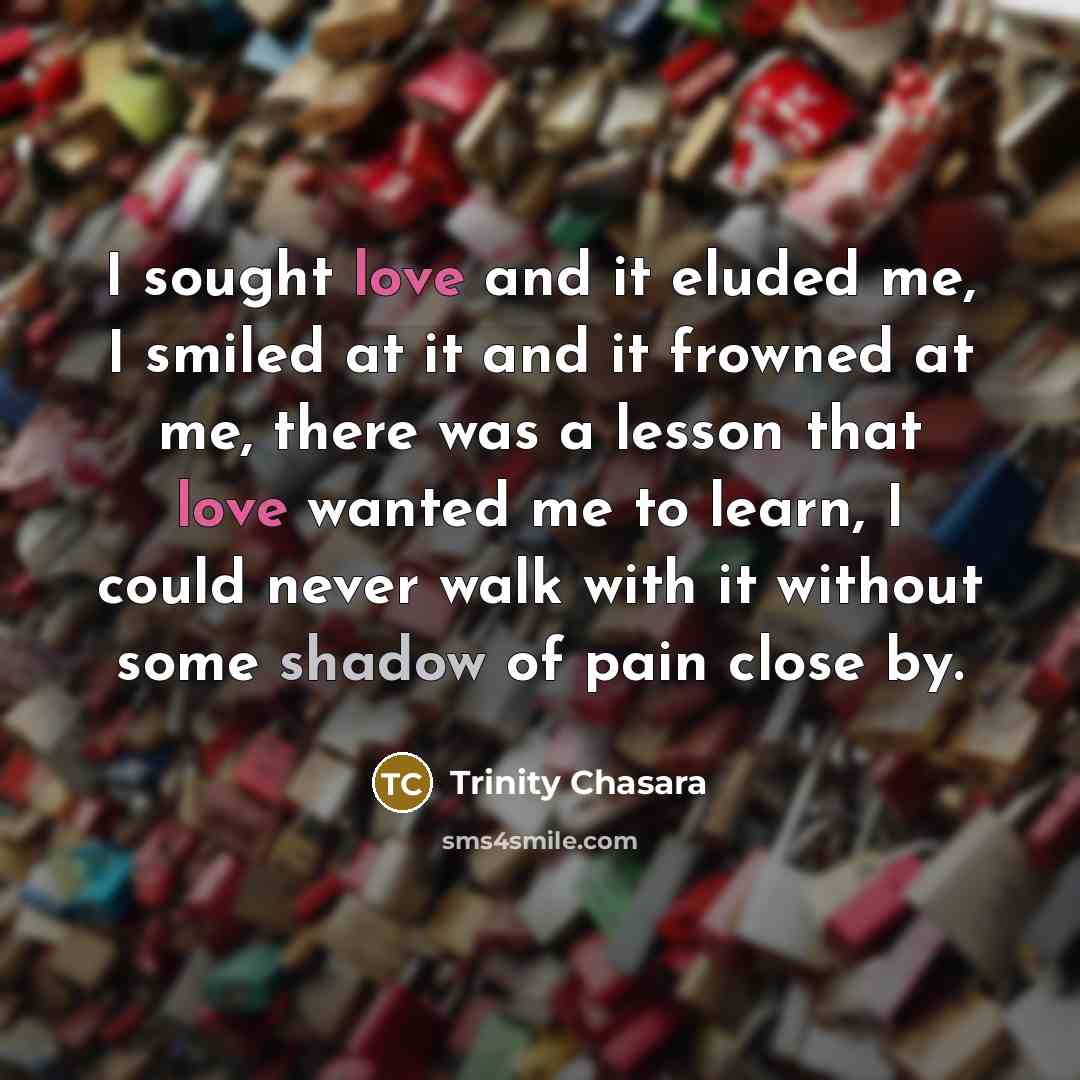 “I sought love and it eluded me, I smiled at it and it frowned at me, there was a lesson that love wanted me to learn, I could never walk with it without some shadow of pain close by.” quote by Trinity Chasara