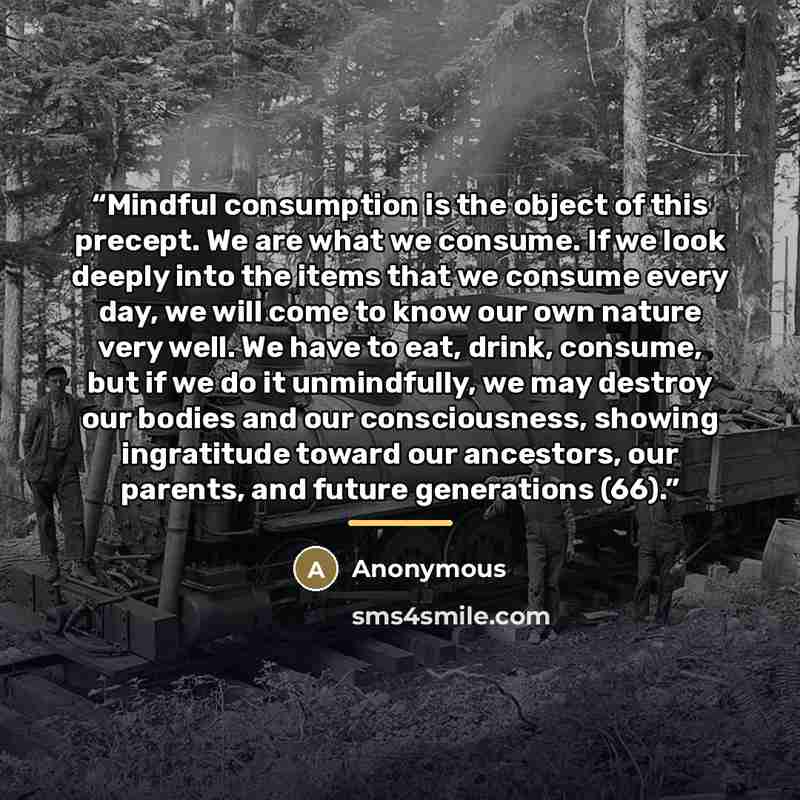 “Mindful consumption is the object of this precept. We are what we consume. If we look deeply into the items that we consume every day, we will come to know our own nature very well. We have to eat, drink, consume, but if we do it unmindfully, we may destroy our bodies and our consciousness…” quote by Anonymous