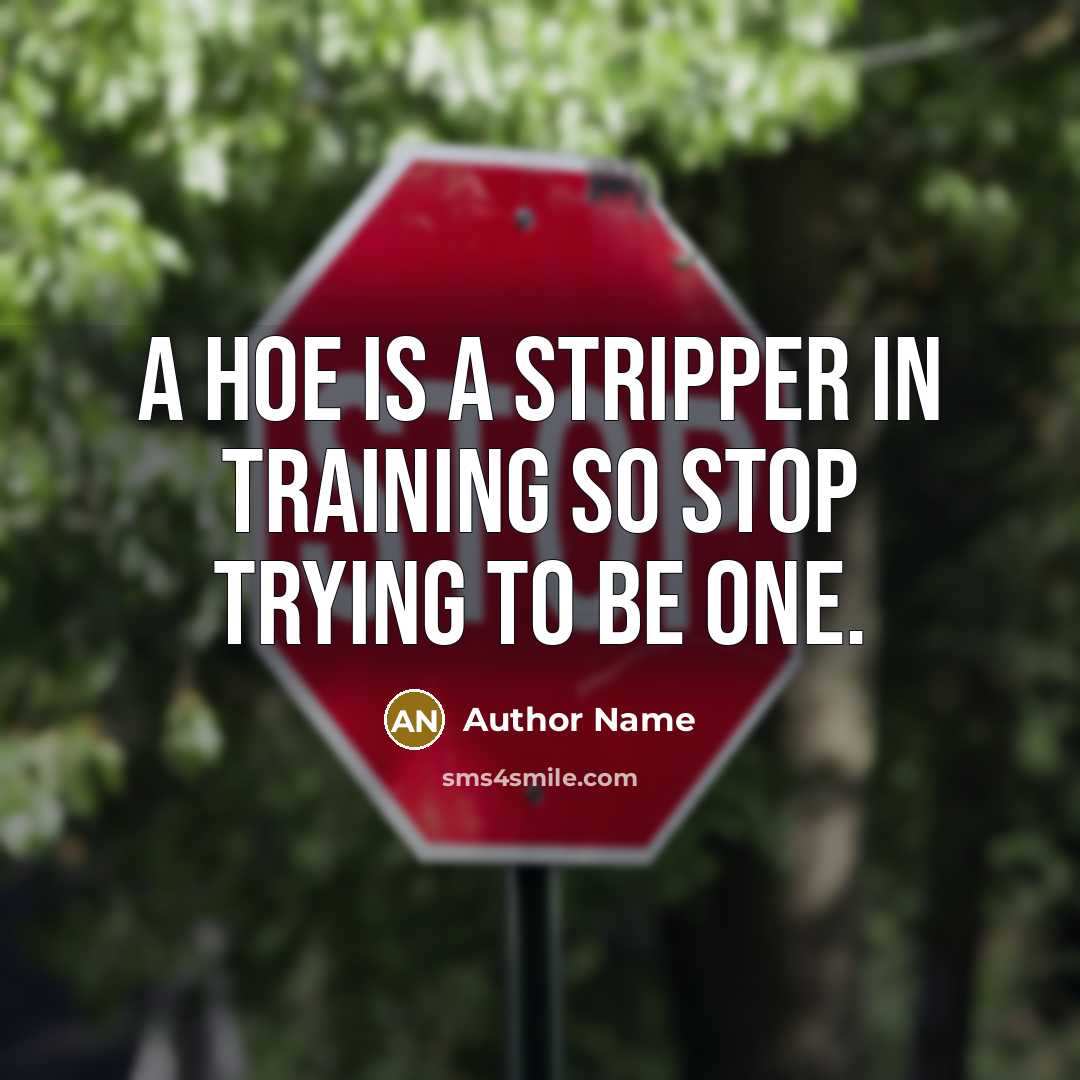 “A hoe is a stripper in training so stop trying to be one.” quote by Author Name