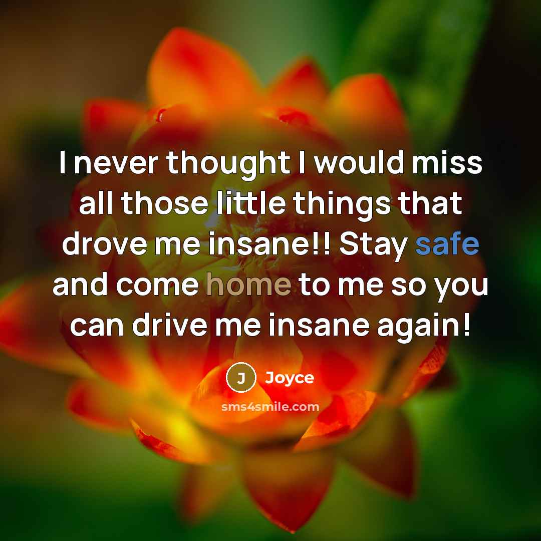 “I never thought I would miss all those little things that drove me insane!! Stay safe and come home to me so you can drive me insane again!” quote by Joyce