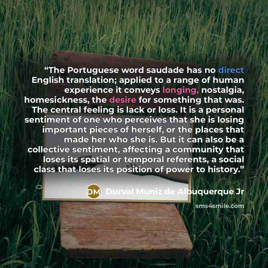 “The Portuguese word saudade has no direct English translation; applied to a range of human experience it conveys longing, nostalgia, homesickness, the desire for something that was. The central feeling is lack or loss. It is a personal sentiment of one who perceives that she is losing important…” quote by Durval Muniz de Albuquerque Jr
