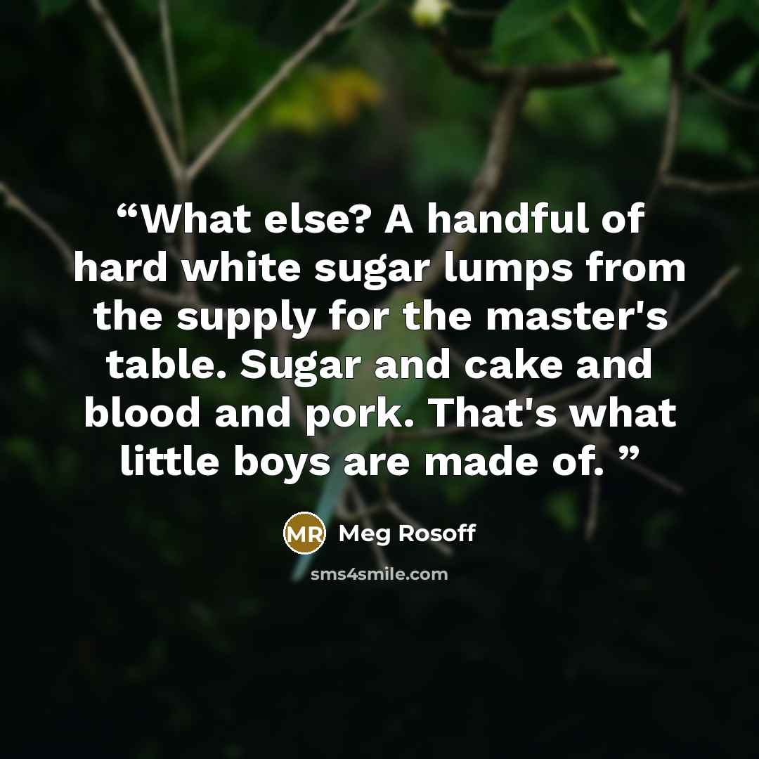 “What else? A handful of hard white sugar lumps from the supply for the master's table. Sugar and cake and blood and pork. That's what little boys are made of.” quote by Meg Rosoff
