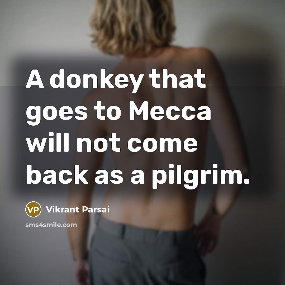 “A donkey that goes to Mecca will not come back as a pilgrim.” quote by Vikrant Parsai