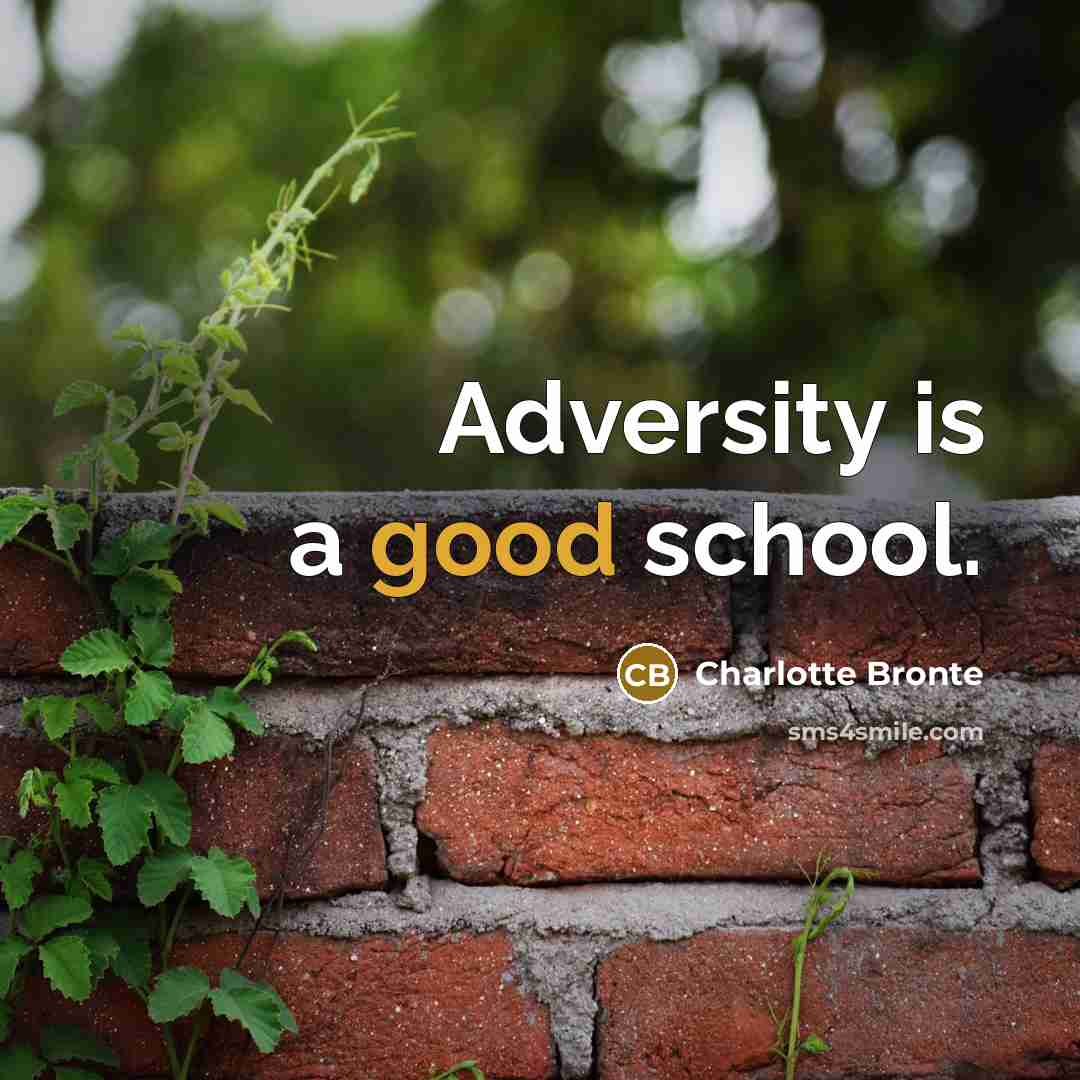“Adversity is a good school.” quote by Charlotte Bronte
