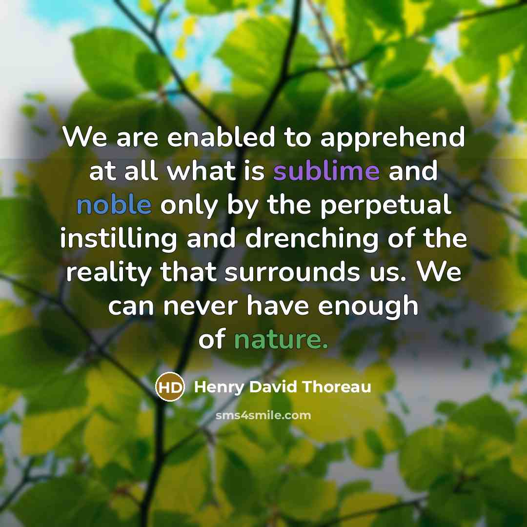 “We are enabled to apprehend at all what is sublime and noble only by the perpetual instilling and drenching of the reality that surrounds us. We can never have enough of nature.” quote by Henry David Thoreau