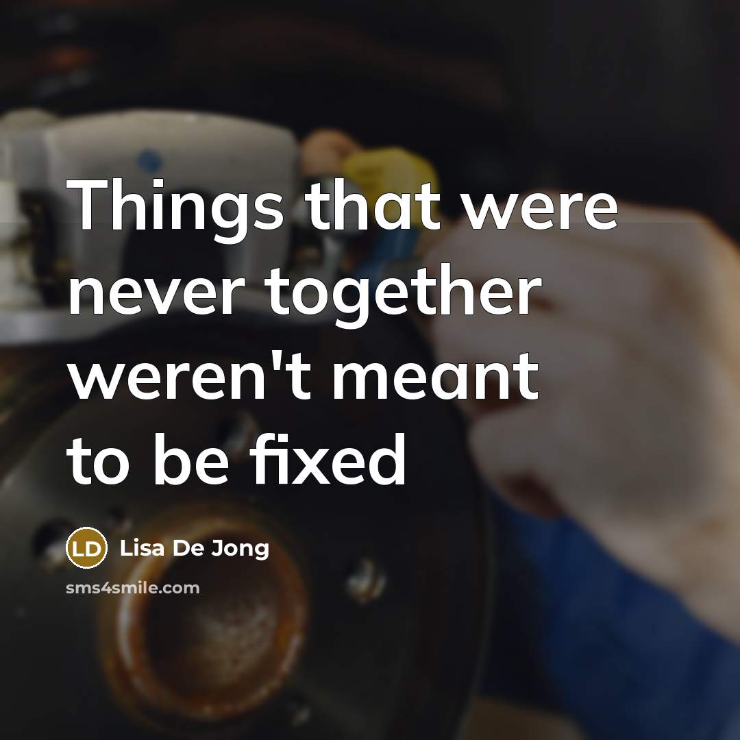 “Things that were never together weren't meant to be fixed” quote by Lisa De Jong