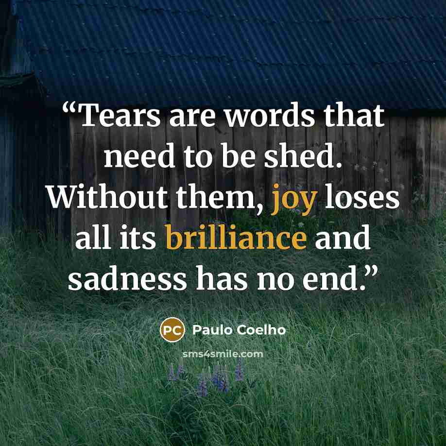 “Tears are words that need to be shed. Without them, joy loses all its brilliance and sadness has no end.” quote by Paulo Coelho