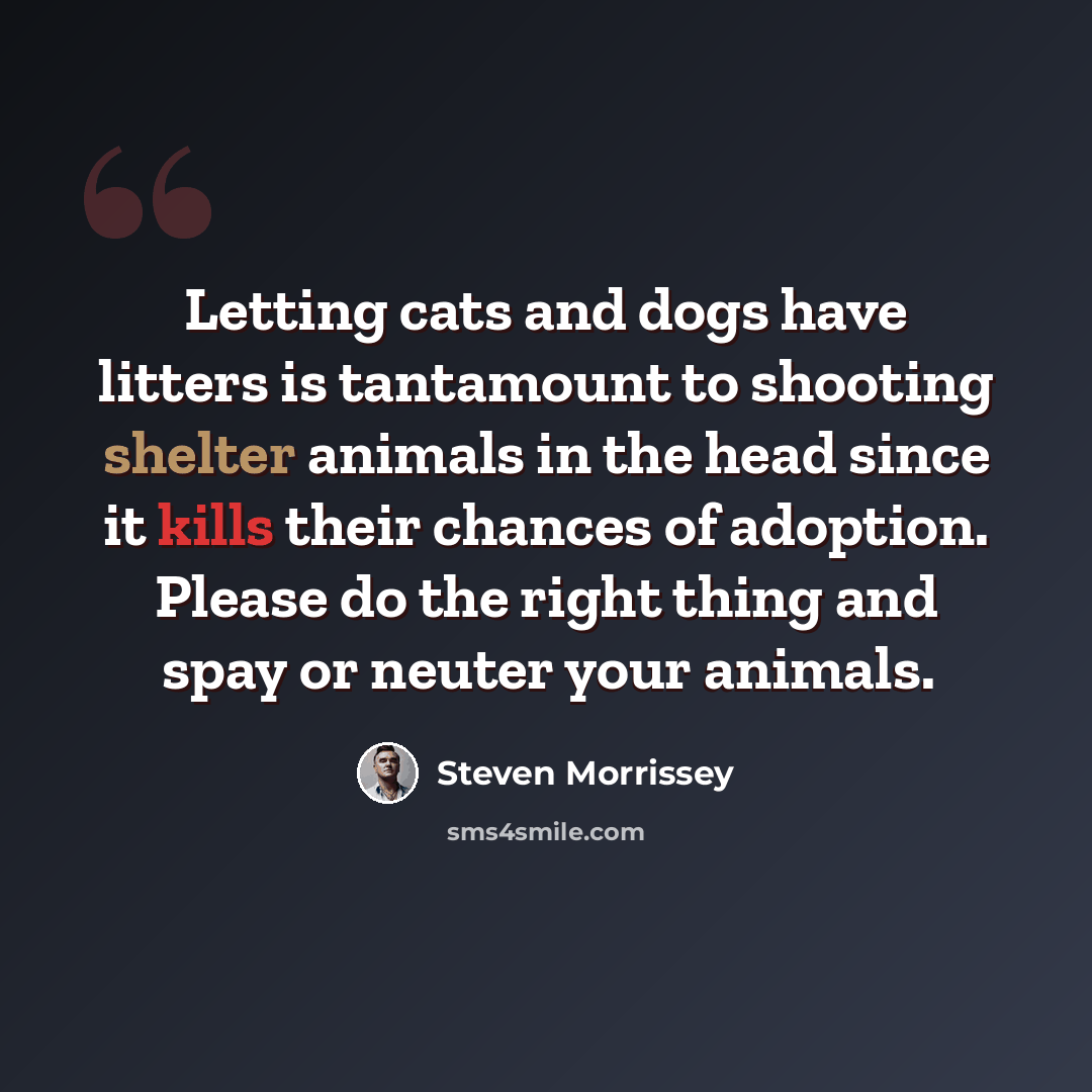 “Letting cats and dogs have litters is tantamount to shooting shelter animals in the head since it kills their chances of adoption. Please do the right thing and spay or neuter your animals.” quote by Steven Morrissey
