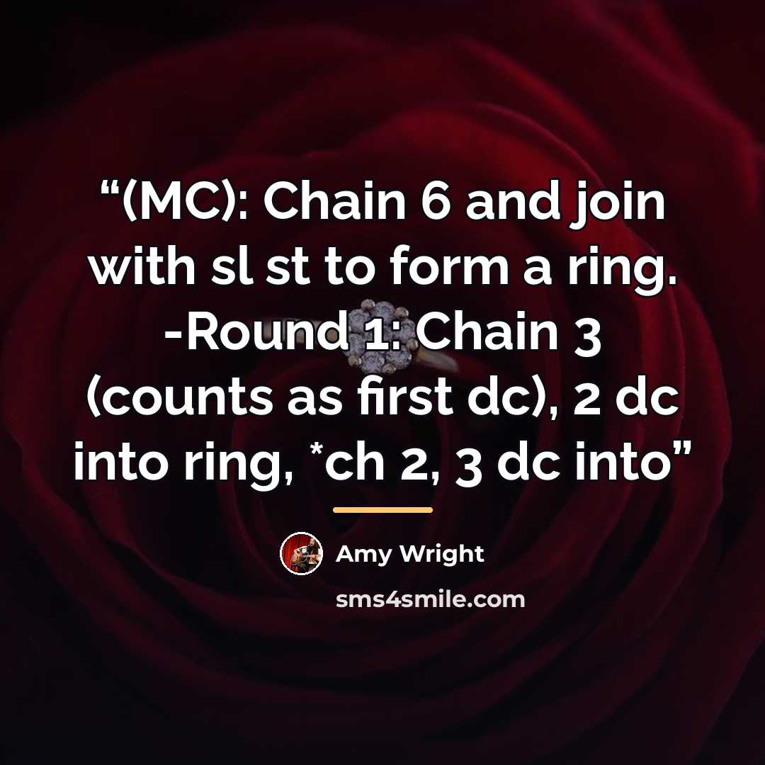 “(MC): Chain 6 and join with sl st to form a ring. -Round 1: Chain 3 (counts as first dc), 2 dc into ring, *ch 2, 3 dc into” quote by Amy Wright