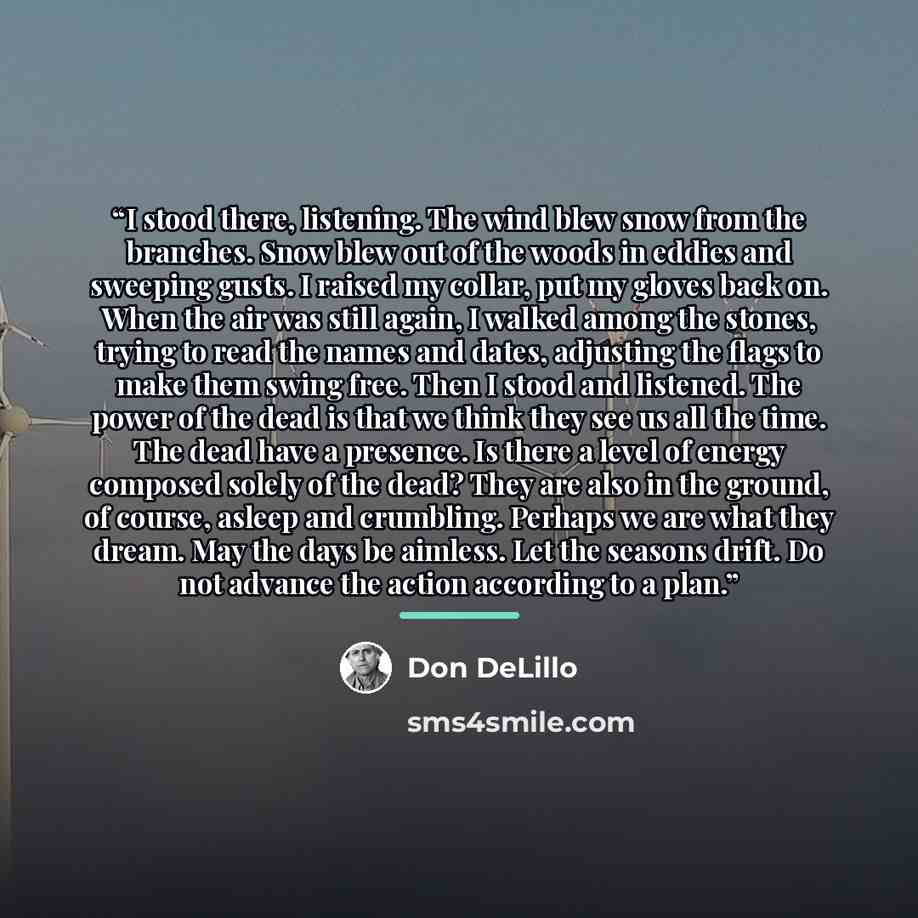 “I stood there, listening. The wind blew snow from the branches. Snow blew out of the woods in eddies and sweeping gusts. I raised my collar, put my gloves back on. When the air was still again, I walked among the stones, trying to read the names and dates, adjusting the flags to make them swing…” quote by Don DeLillo