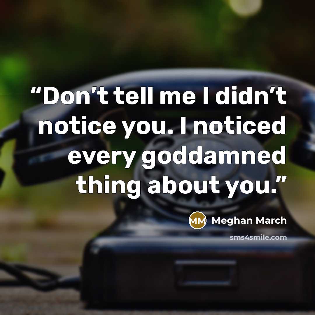 “Don’t tell me I didn’t notice you. I noticed every goddamned thing about you.” quote by Meghan March